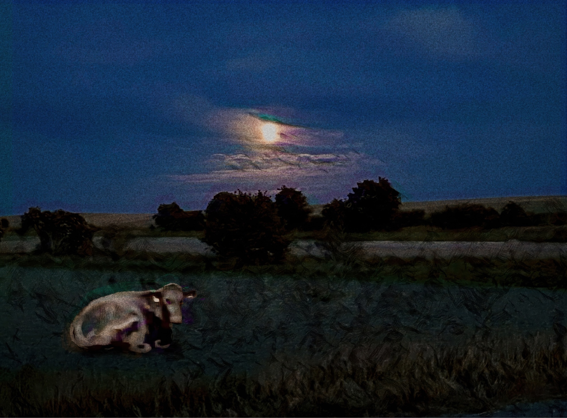 A young cow lies in a meadow at night beneath a full moon breaking through clouds.