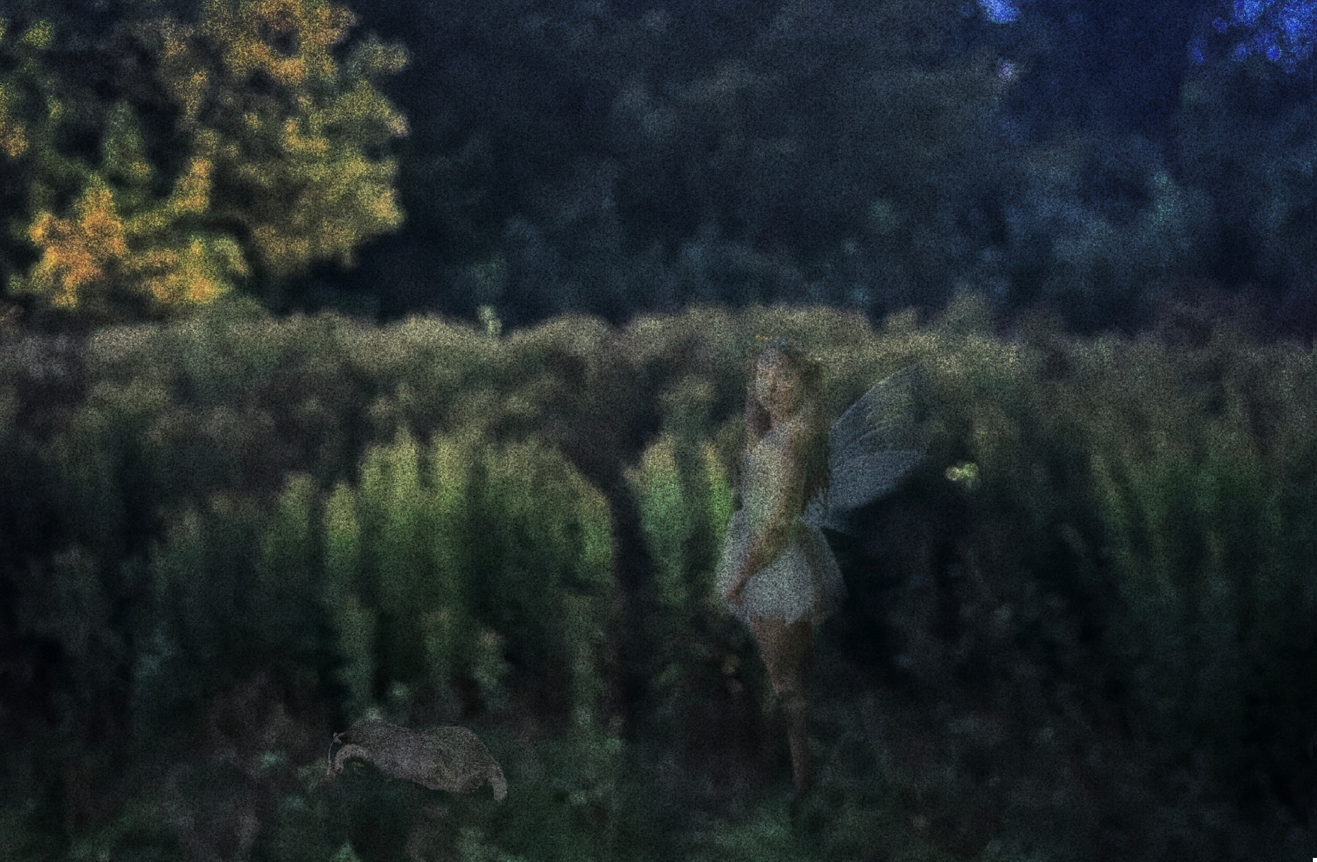 A blurred nocturnal scene with a winged figure in tall grass and a small badger-like animal in the foreground.