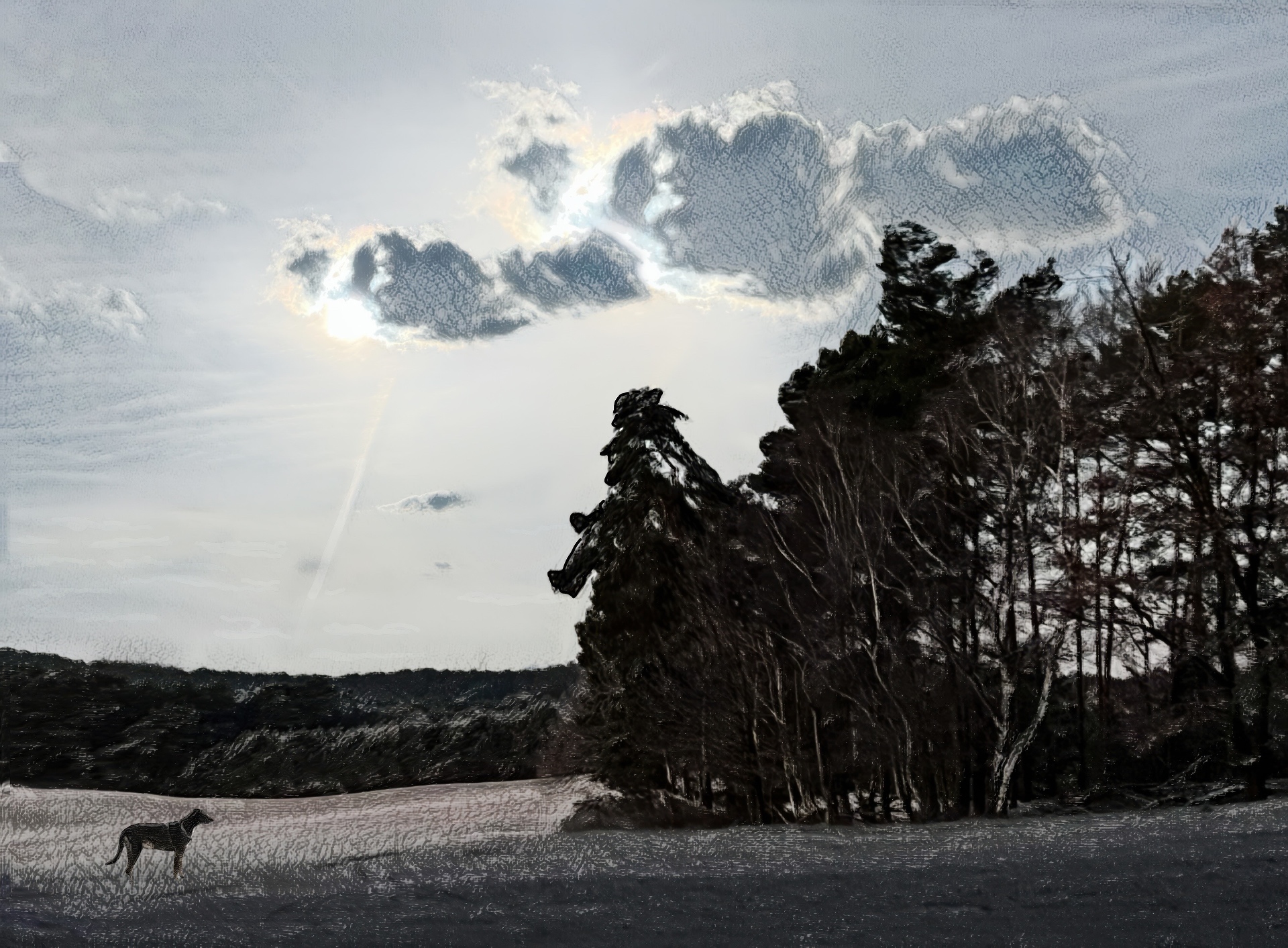 A lone dog crosses a pale, wintry field under a cloud-swept sky.
